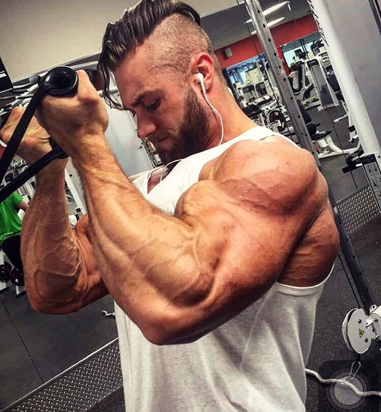 Chris Bumstead Push Pull Legs Routine (Exact 6-Day Split)