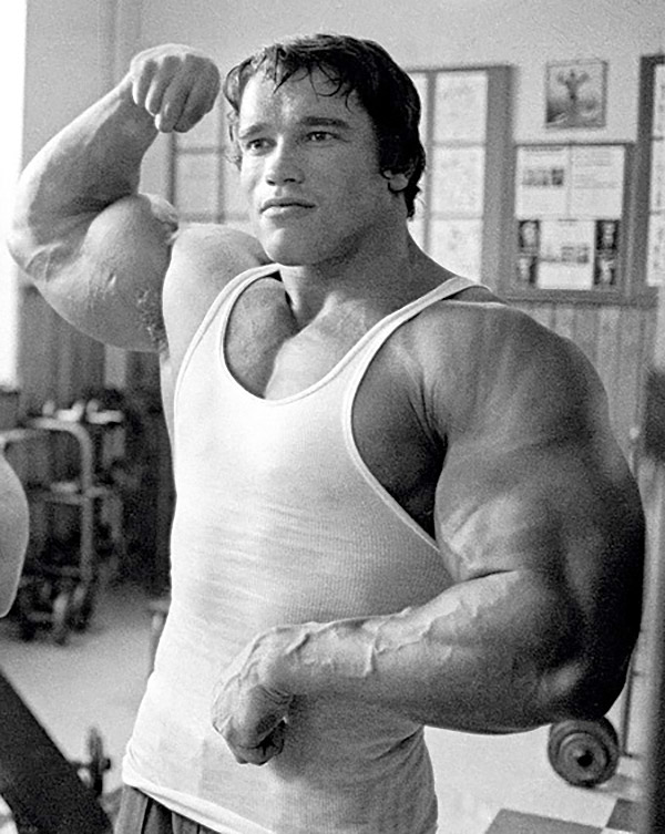 223981-arnold