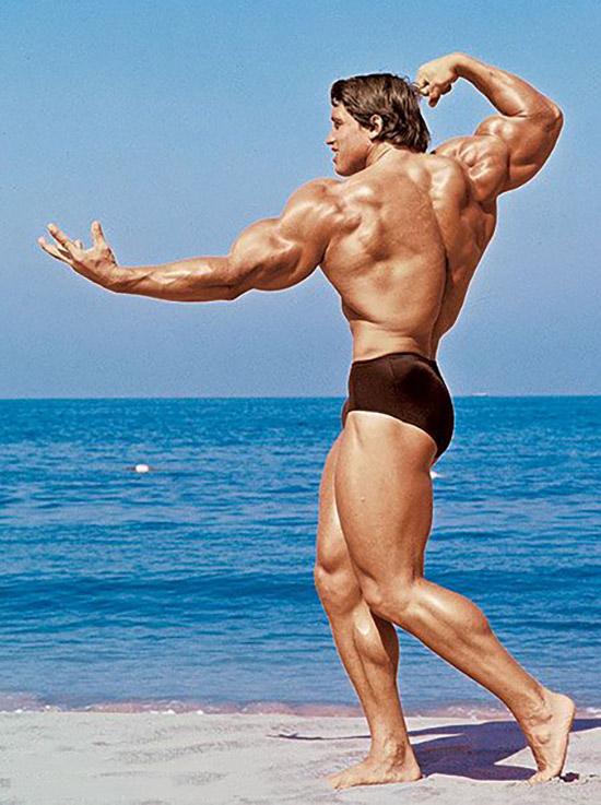 Unraveling the Legend: Who is Arnold Schwarzenegger? Height, Age