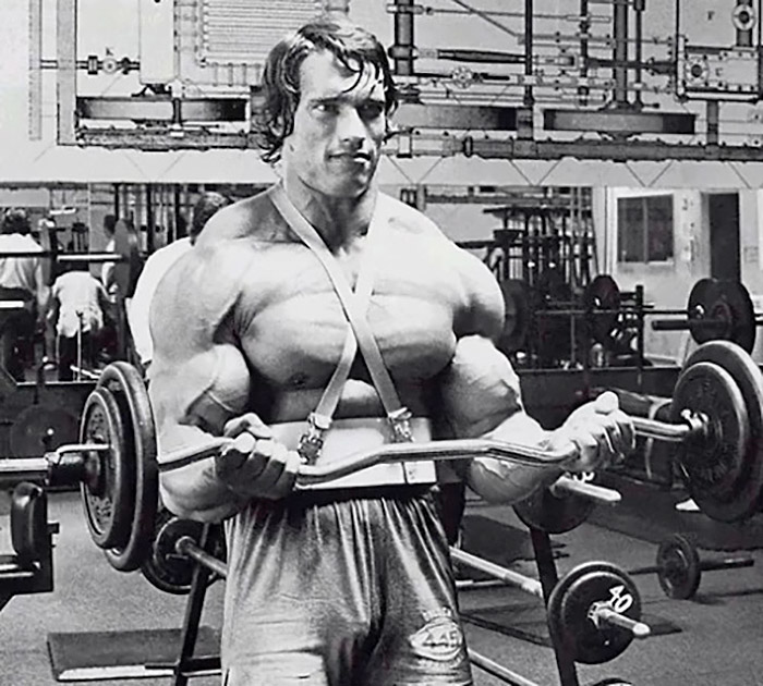 arnold-schwarzenegger-arm-workout