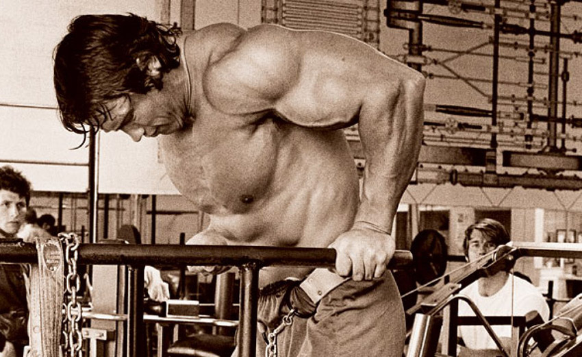 arnold-schwarzenegger-chest