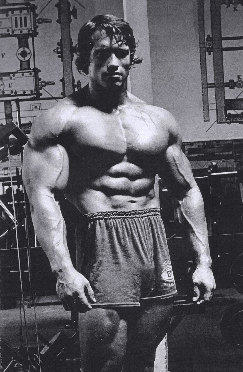 Arnold Schwarzenegger Greatest Physiques