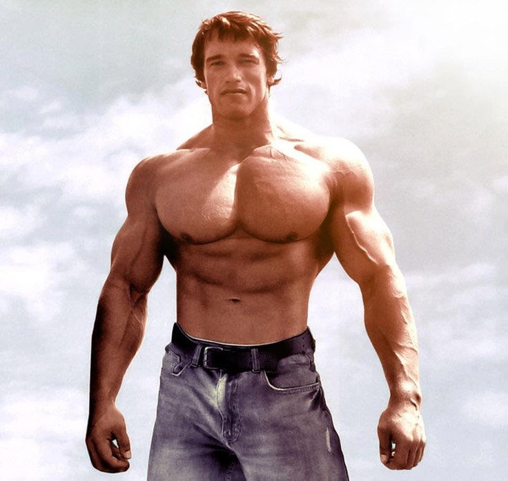 arnold schwarzenegger 1990