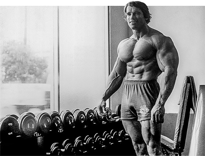 Arnold Schwarzenegger Greatest Physiques