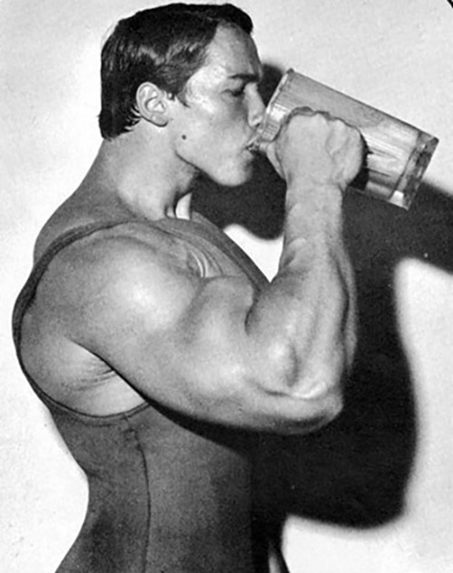 Arnold Schwarzenegger Diet Chart