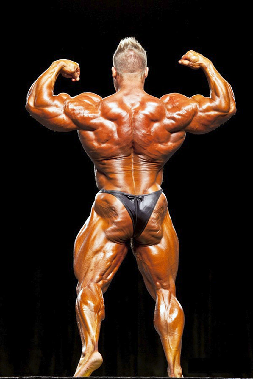 Mr. Olympia Jay Cutler Physique – Celebrity Body Type One (BT1), Male Mr. Olympia Jay Cutler Physique – Celebrity Body Type One (BT1), Male