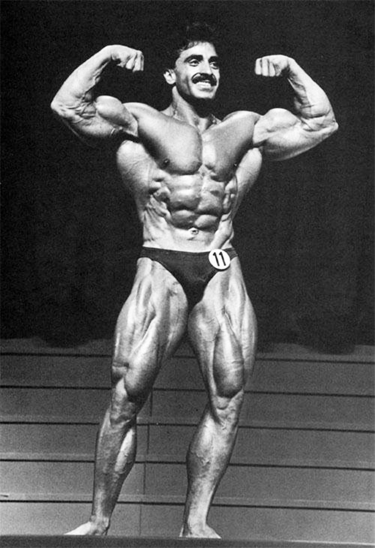 Samir Bannout | Arnold schwarzenegger bodybuilding, Schwarzenegger  bodybuilding, Schwarzenegger