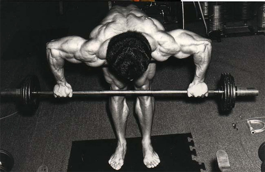 Samir Bannout | Mr olympia, Arnold schwarzenegger bodybuilding,  Schwarzenegger bodybuilding