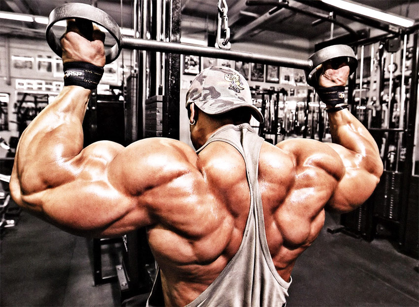 A picture of Roelly Winklaar training his back at the gym, which displays the extent of his muscular definition and size. 