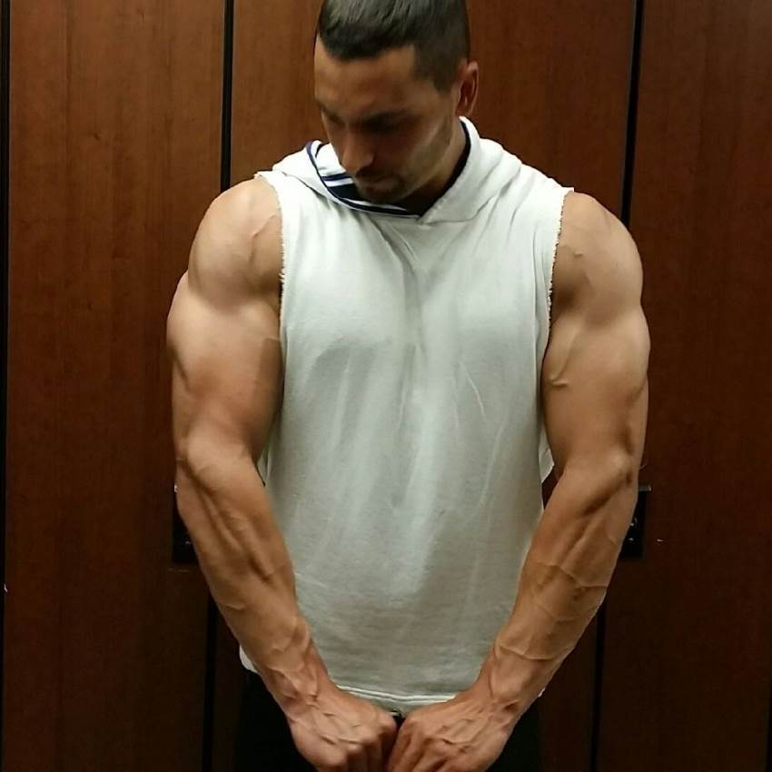 mike raso arms