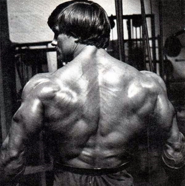 roger callard back muscles