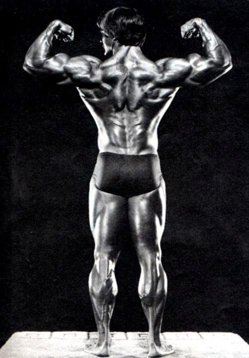 roger callard back muscles