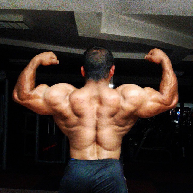 Hadi Choopan in a bakc double biceps pose, showing his strong and muscular back
