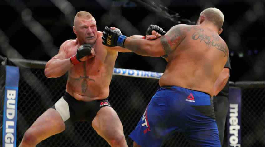 brock lesnar fighting mark hunt