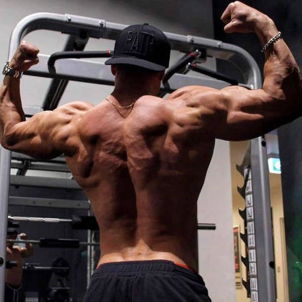 josef rakich's back