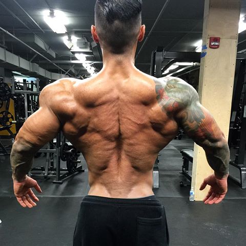 Dean Balabis showing his back in the gym, displaying his large delts, lats and triceps