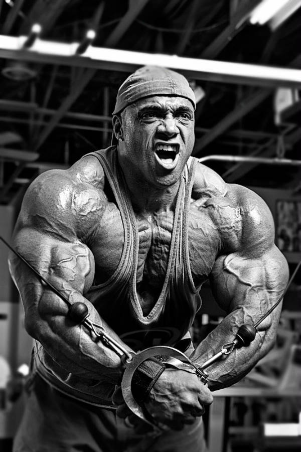 Dennis James Greatest Physiques Dennis James Greatest Physiques