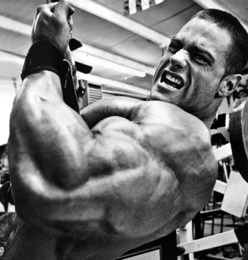 Evan Centopani completing a cable curl, showing his large arms and chest 