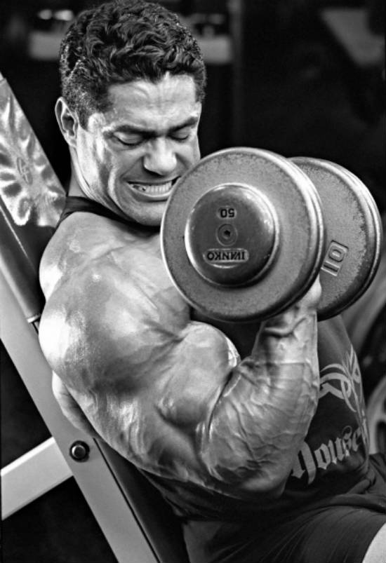 Gustavo Badell completing a concentration bicep curl, showing his vascular arms and bicep