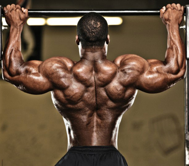 Brendon Ray doing pull ups looking lean and strong 