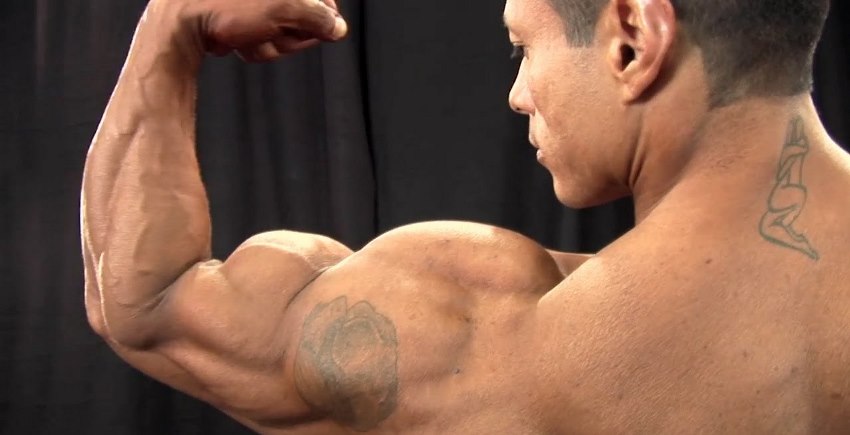 Back shot of Leonardo Pacheco flexing his big and ripped biceps