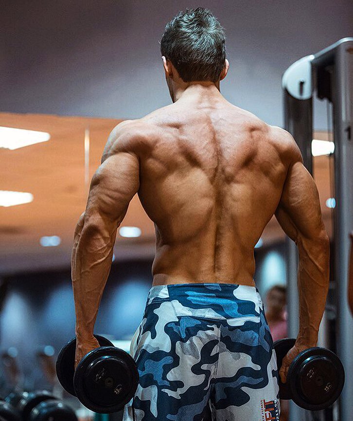 Nikolay Kuleshov training shirtless in the gym, his traps, lats, and arms from the back looking incredibly ripped and aesthetic