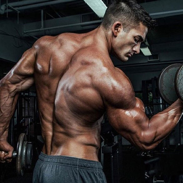 Chase Savoie showing off his back muscles while performing dumbbell curls.