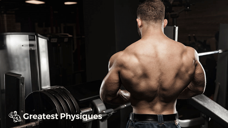 Huge bodybuilder facing away from camera setting up a bench press bar