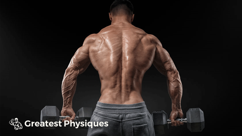 Man facing away from camera holding two dumbbells on black background