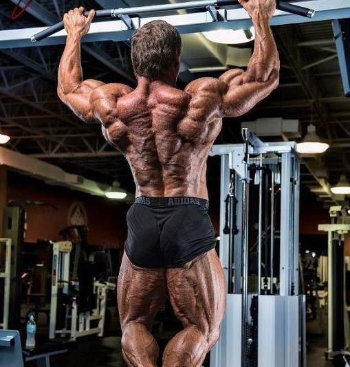 John Meadows doing pull ups while being shirtless, looking incredibly ripped and muscular