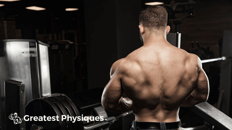 Muscular bodybuilder facing away from the camera showing off huge latissimus dorsi