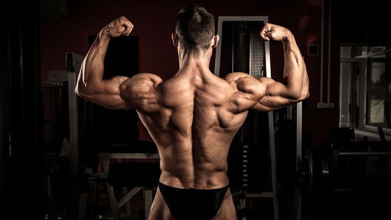 Bodybuilder diet and muscle mass