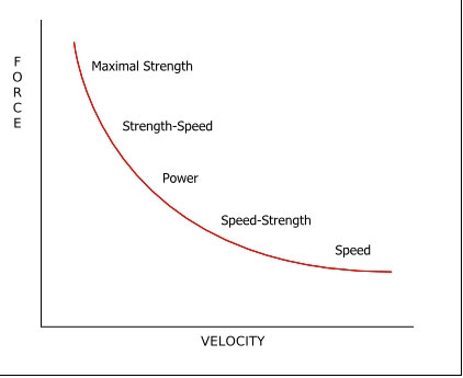 The force velocity (F-V) curve dictates how your body adapts to strength training