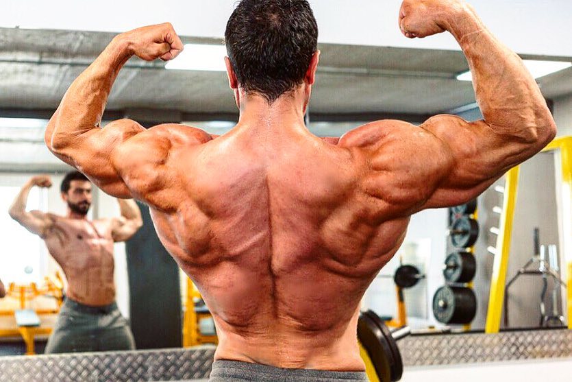 Murat Demir flexing his back looking huge and ripped