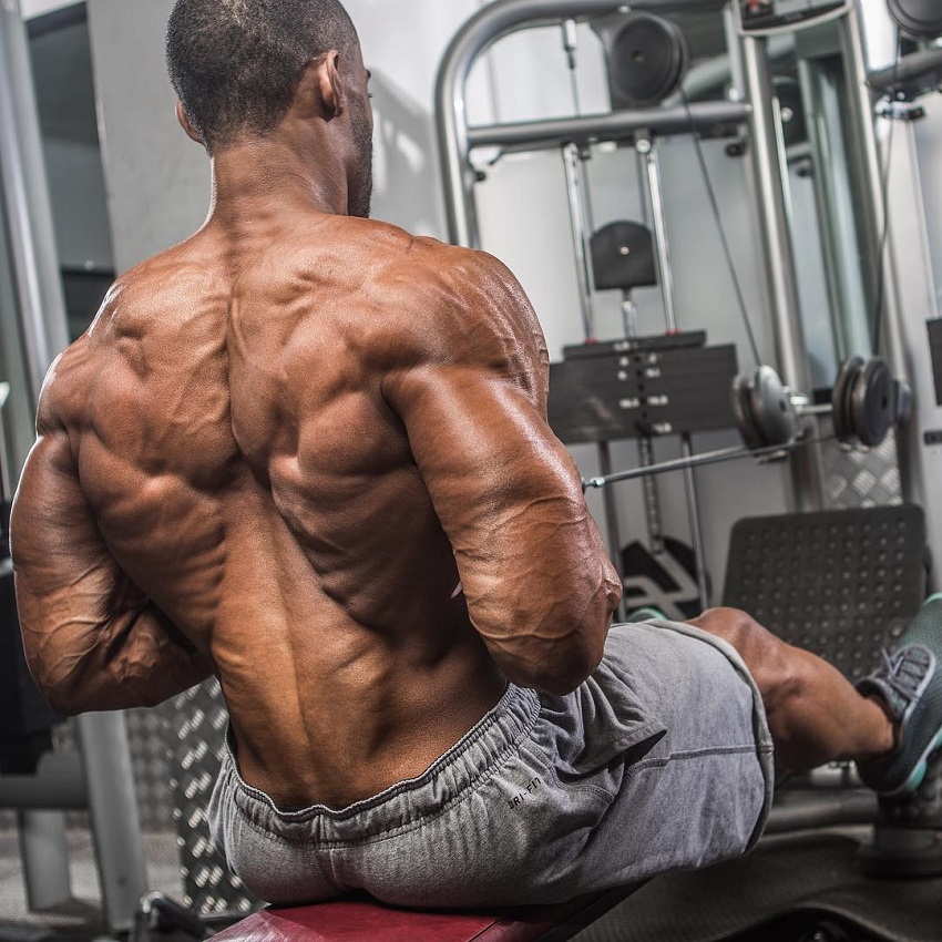 Nathan Williams doing cable rows for lats looking ripped and muscular