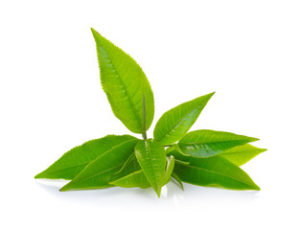 Green tea L-theanine