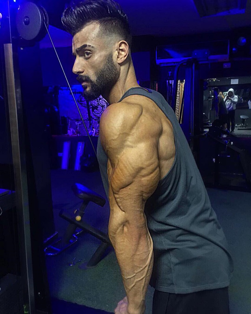 Mohamed El Qadi performing cable extensions, his triceps looking insanely ripped and huge