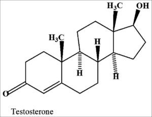 Testosterone Chemical Structure