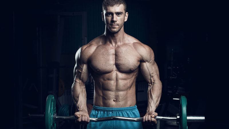 Bicep curl bodybuilder