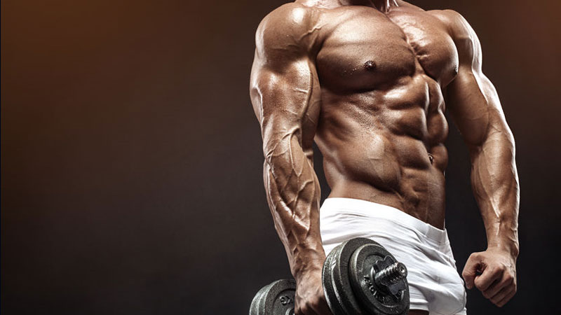 Bodybuilding Muscle Building