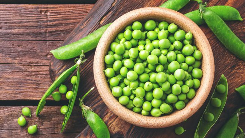 Green peas vegetarian protein