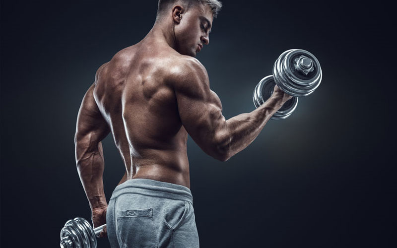 Muscle bulking transformation plan