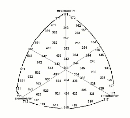 Heath-Carter somatotype chart