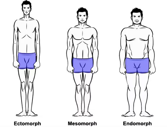 Somatotypes: Knowing Your Body Type & Debunking The Myth - Greatest