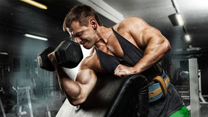 Top Rules of Clean Bulking