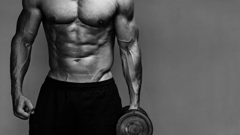 7 Rules of Successful Clean Bulking You Should Try Today - Greatest  Physiques