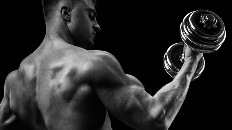 Greatest Physiques 5-Day Workout Routine for Beginners