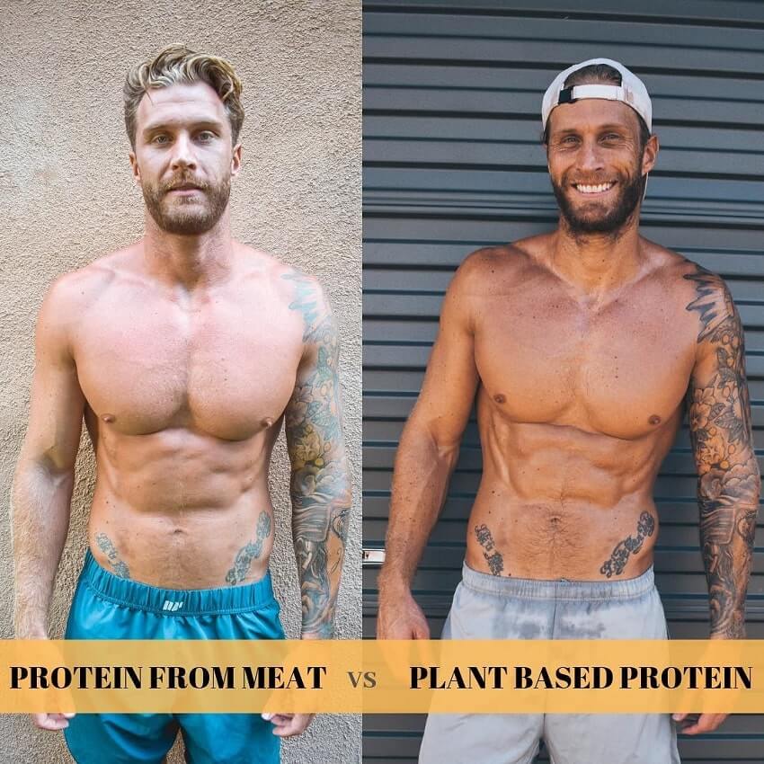 Matt Fox body transformation from meat eater to plant based vegan