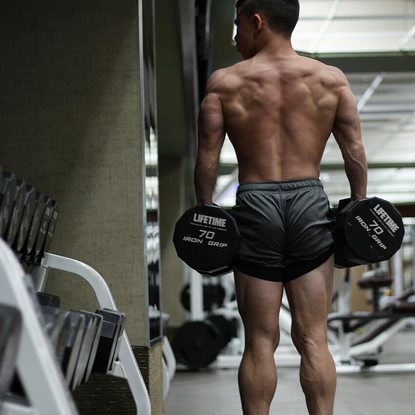 Tristyn Lee holding dumbbells while being shirtless in a gym