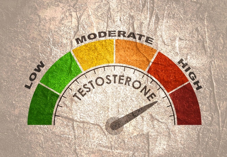 Testosterone Levels by Age